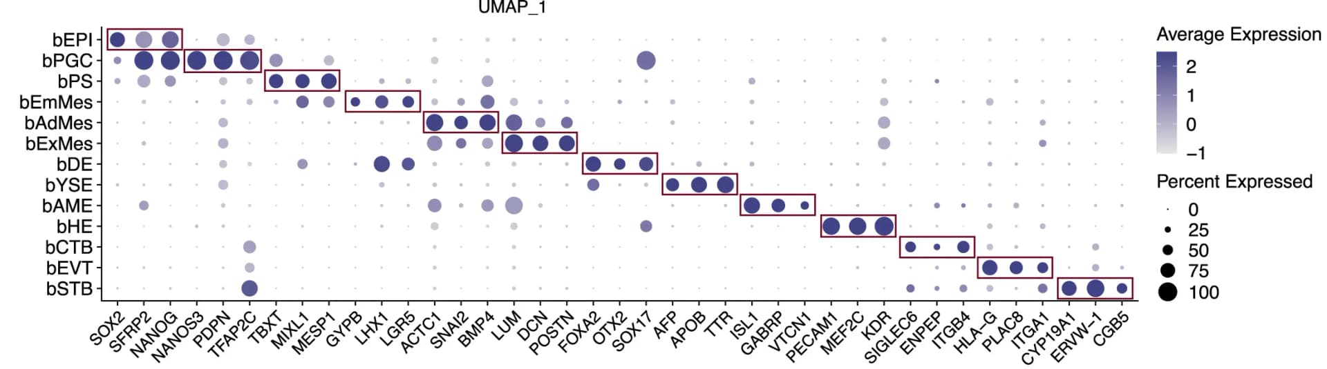 Open access visualization of Bubble Plot, UMAP, Dotplot, Gene Expression Patterns, Blastoids