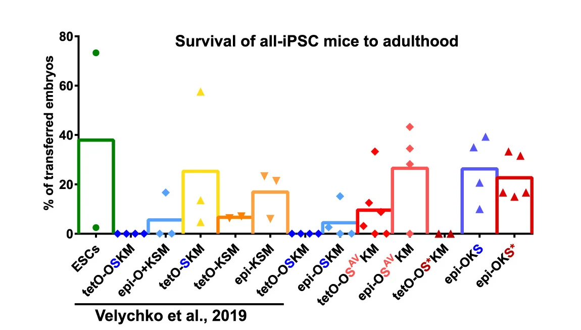Open access visualization of Bar Plot, Scatter Plot, 4N-Aggregated Embryos, Adult Mice, XY Lines