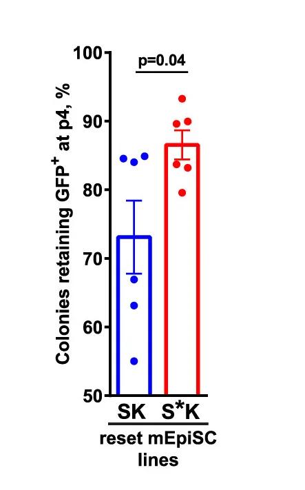 Open access visualization of Bar Plot, Error Bars, Scatter Plot, Quantification, Gof18+ Colonies