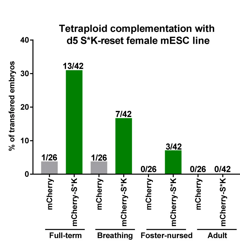 Open access visualization of Bar Plot, 4N-Aggregated Embryos, Embryo Survival