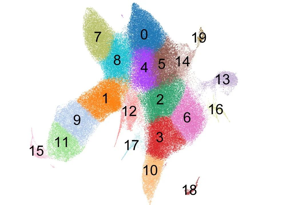 Open access visualization of Scatter Plot, UMAP, UMAP Projection, HSPC scRNA-seq, Tom+ cells