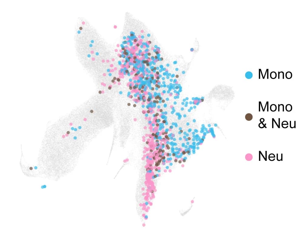 Open access visualization of Scatter Plot, UMAP, cKit+ Progenitors, Lineage Tracing, In Vitro Cultures