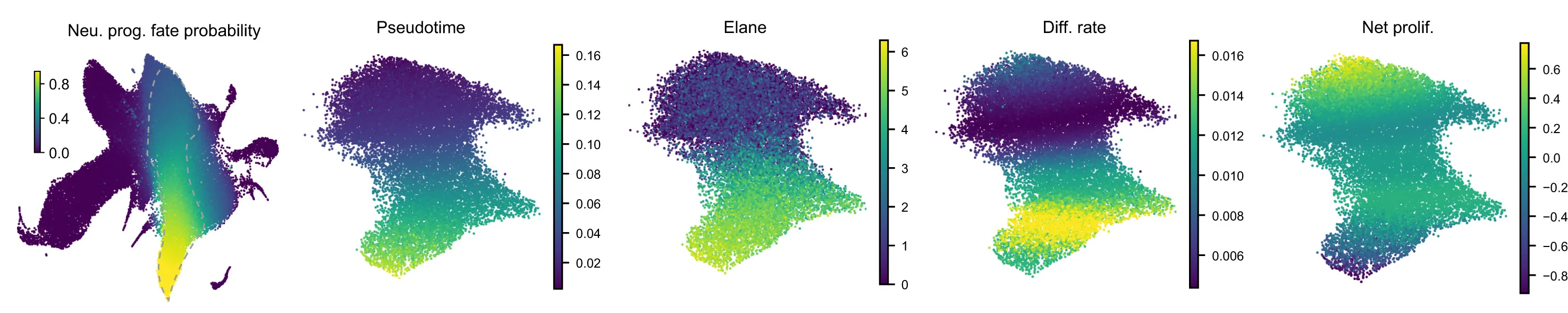 Open access visualization of Scatter Plot, UMAP, UMAP Projection, HSPC Landscape, Neutrophil Lineage