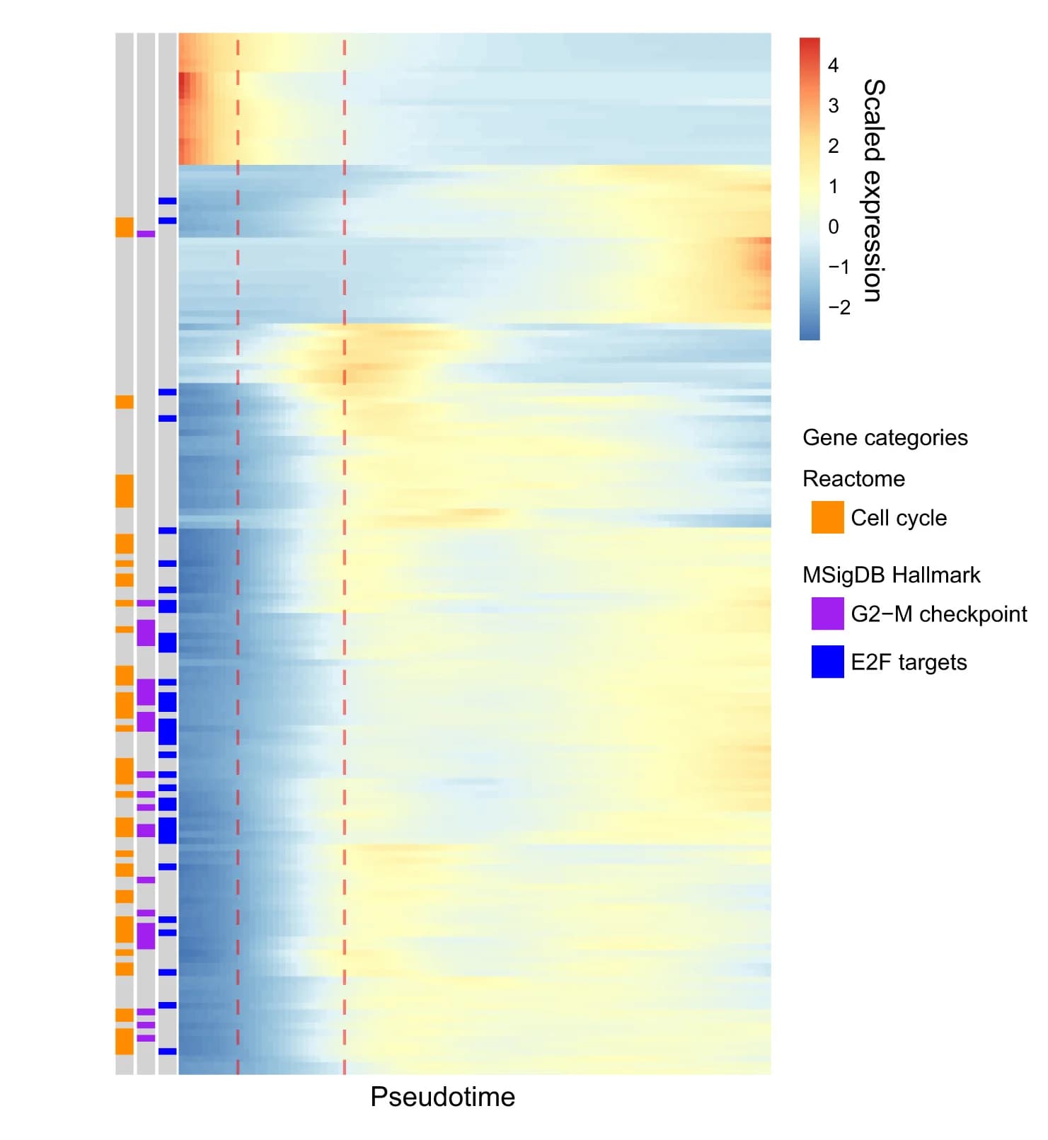 Open access visualization of Heatmap, Bar Plot, Differentially Expressed Genes, E2F Target, G2-M Checkpoint