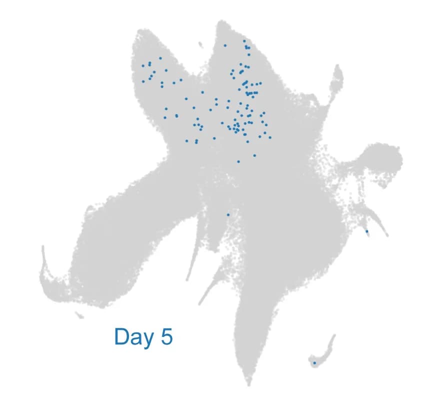 Open access visualization of Scatter Plot, UMAP, HSPC, Cells