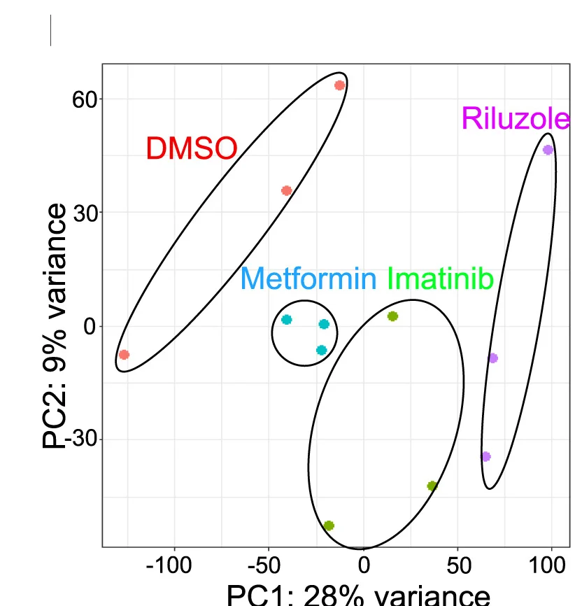 Open access visualization of Scatter Plot, PCA, PCA Plot, Gene Expression Profiles, DMSO