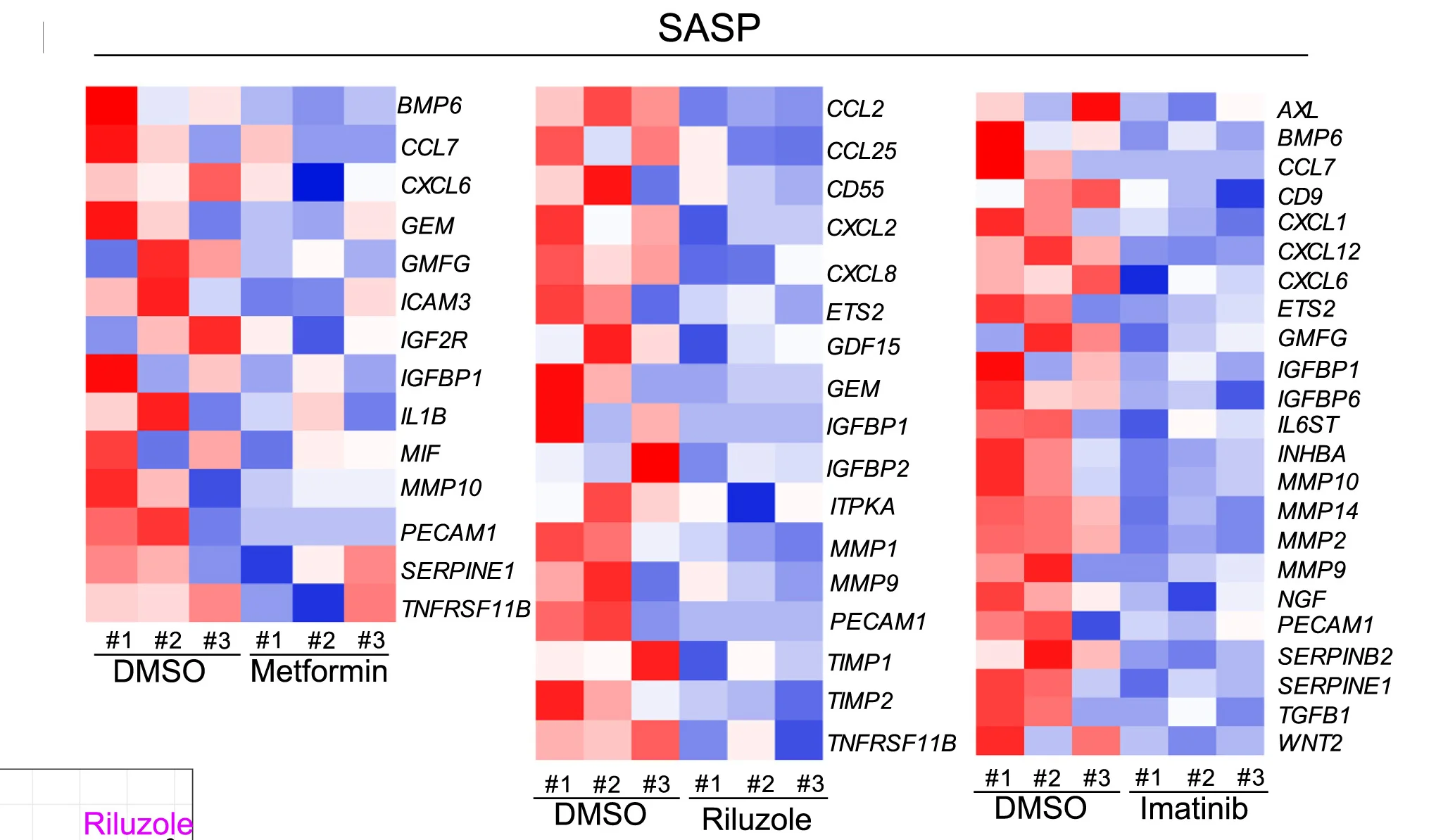 Open access visualization of Heatmap, SASP Associated Genes, DMSO, Drug Candidates, NURR1:GFP H9-DA Neurons