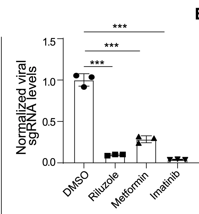 Open access visualization of Bar Plot, Error Bars, qRT-PCR, RNA, DMSO