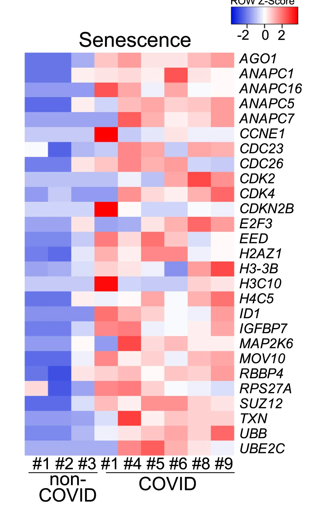 Open access visualization of Heatmap, Senescence-Associated Genes, Substantia Nigra, COVID-19 Patients, Non-COVID-19 Patients