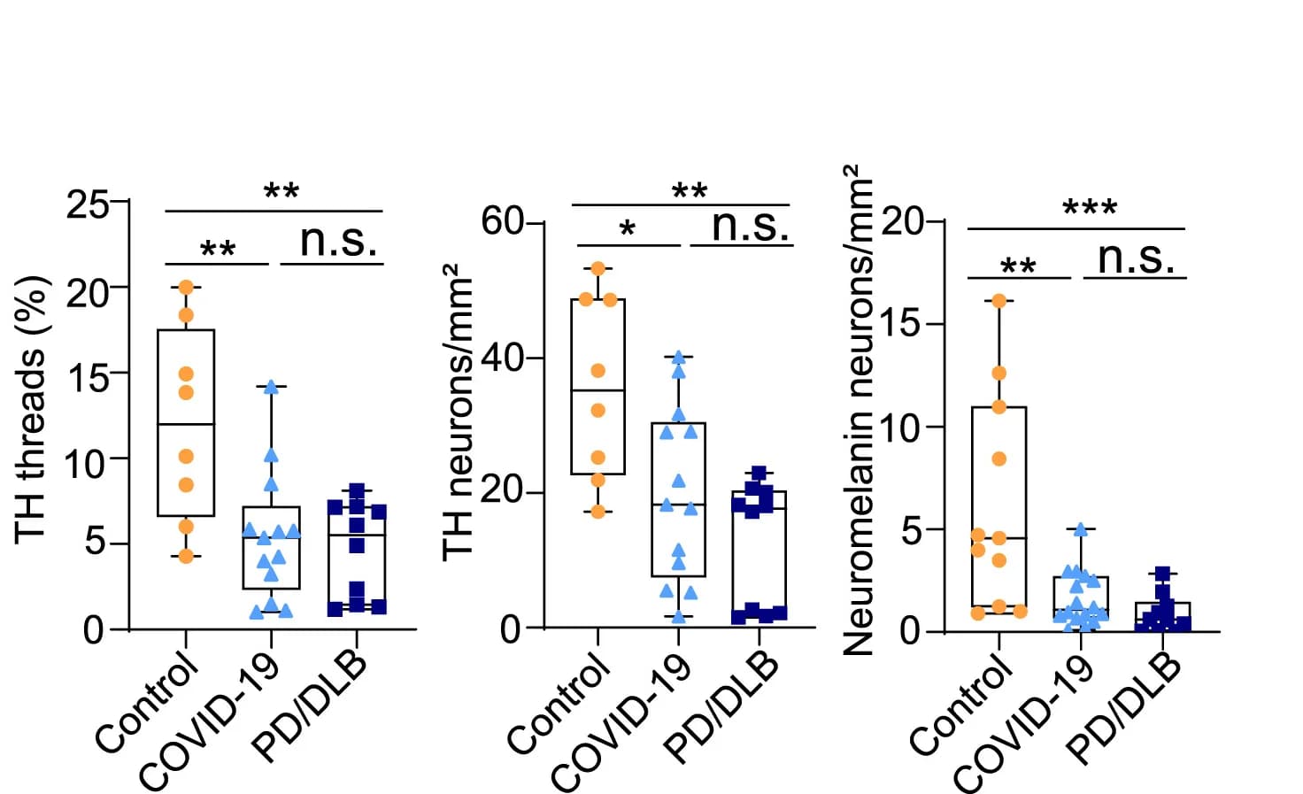 Open access visualization of Box Plot, Scatter Plot, Neuromelanin-Containing Neurons, TH-immunoreactive Neurons, Threads