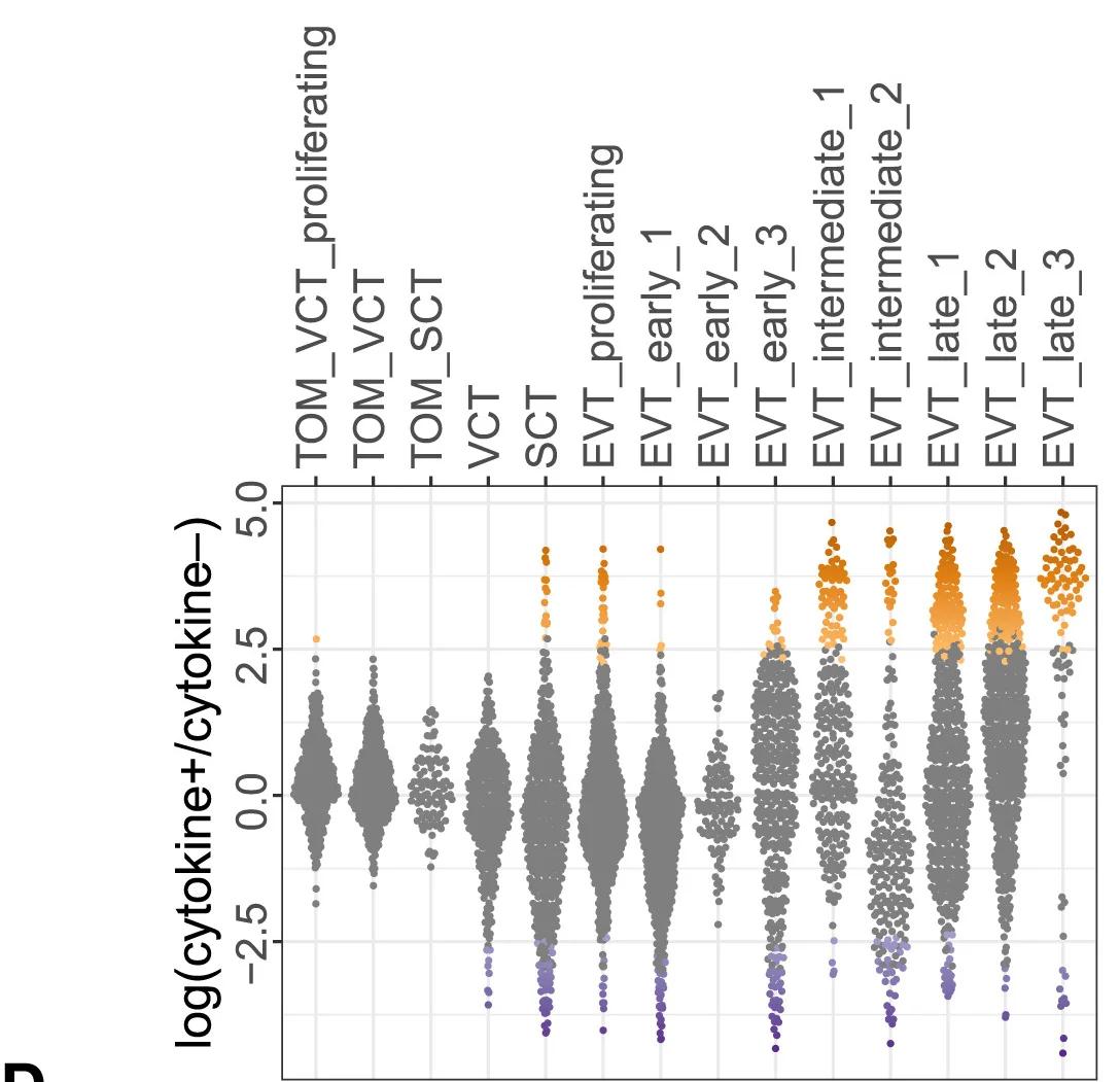 Open access visualization of Violin Plot, Scatter Plot, Cell Abundance, Cytokine Treatment, Cell Types