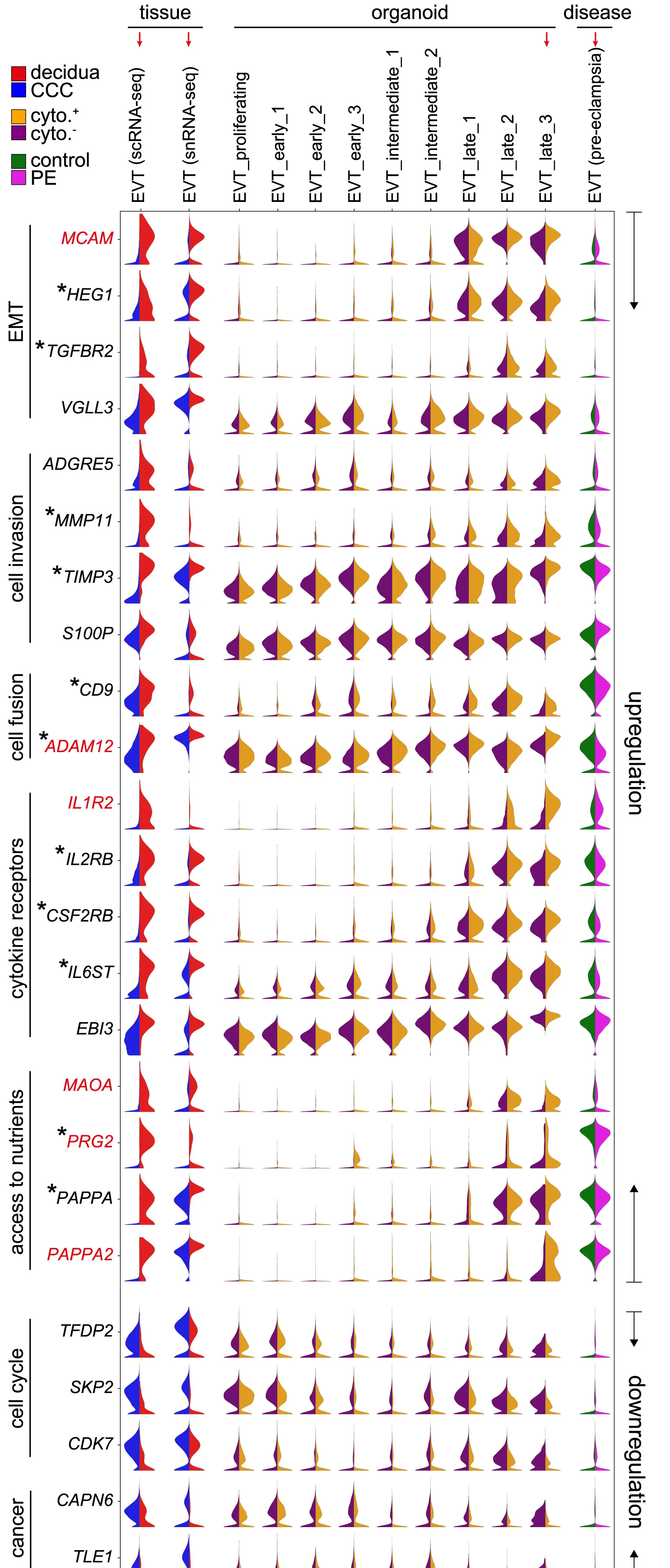Open access visualization of Violin Plot, uNK Cell Cytokines, EVTs, Decidua, Cytotrophoblast Cell Column