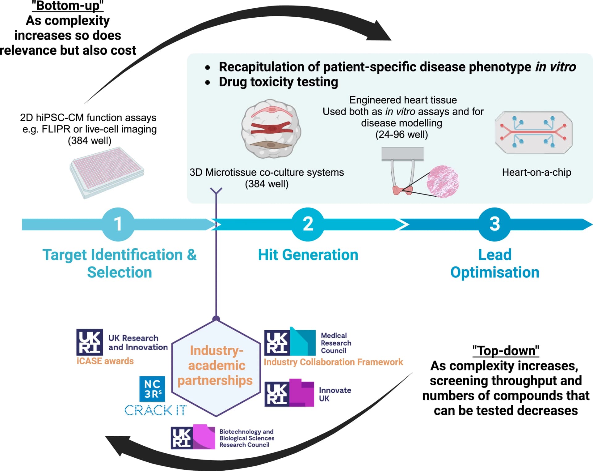 Open access visualization of Workflow, Flowchart, Illustration, 2D Model Systems, 3D Model Systems