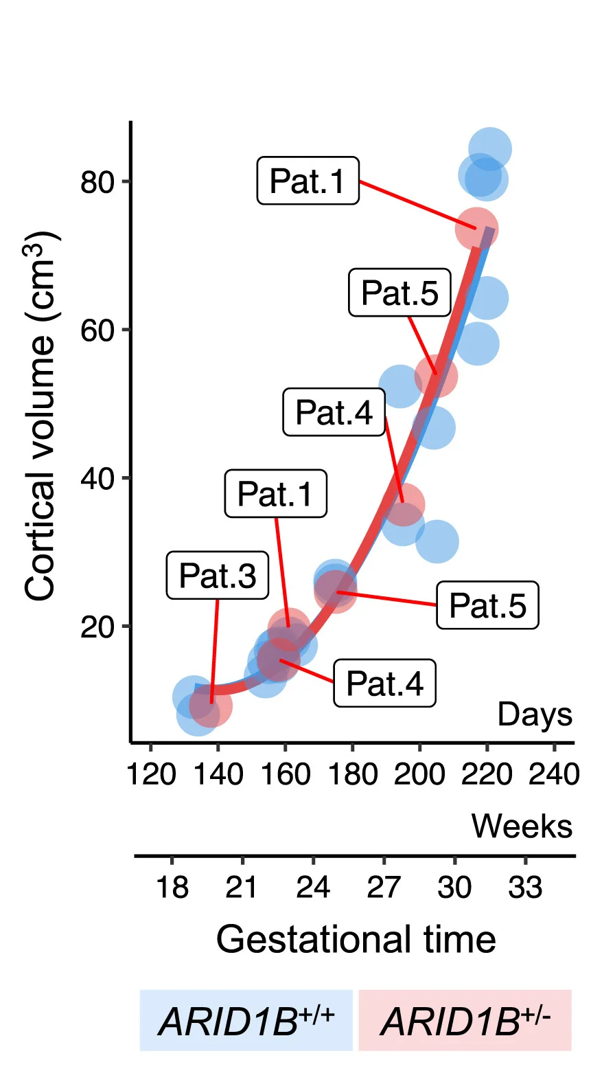 Open access visualization of Scatter Plot, Line Plot, Fetal MRI, Cortical Plate, Growth Quantification
