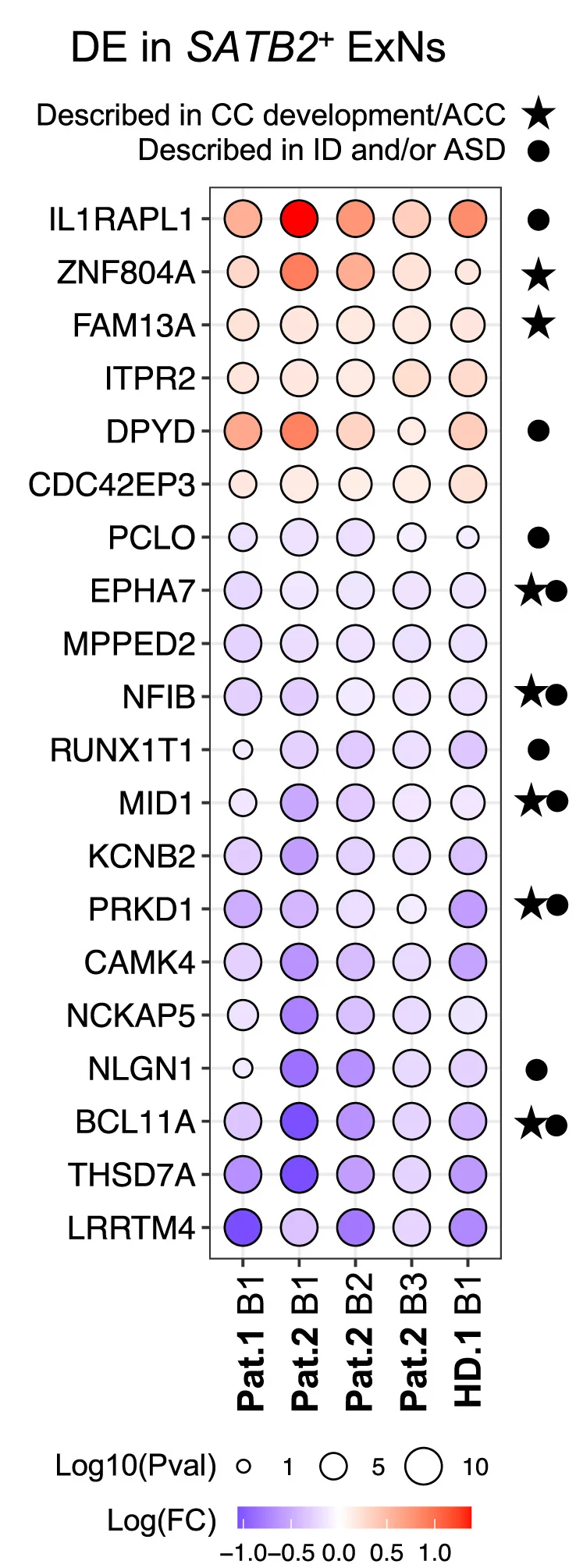 Open access visualization of Bubble Plot, Heatmap, Differentially Expressed Genes, Fold-Change, CC Development