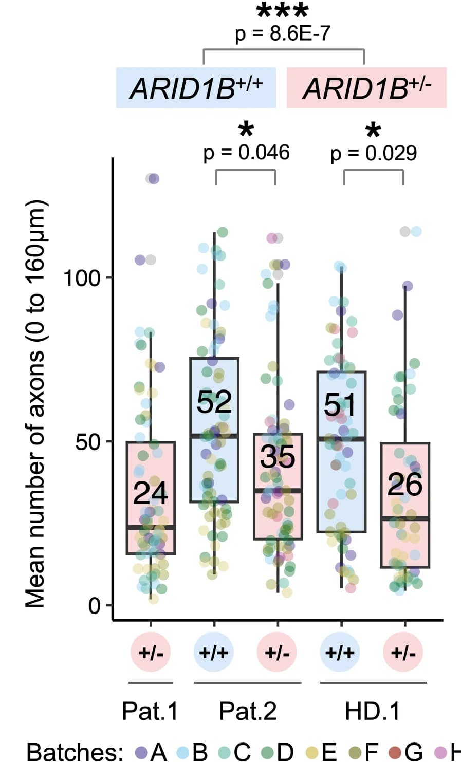 Open access visualization of Box Plot, Scatter Plot, Quantification, Axons, Organoid