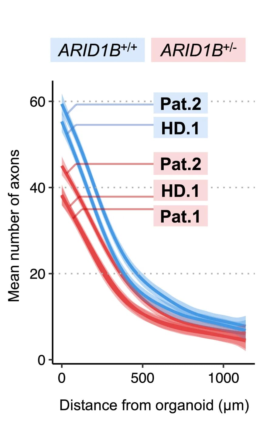 Open access visualization of Line Plot, Error Bars, Quantification, Axons