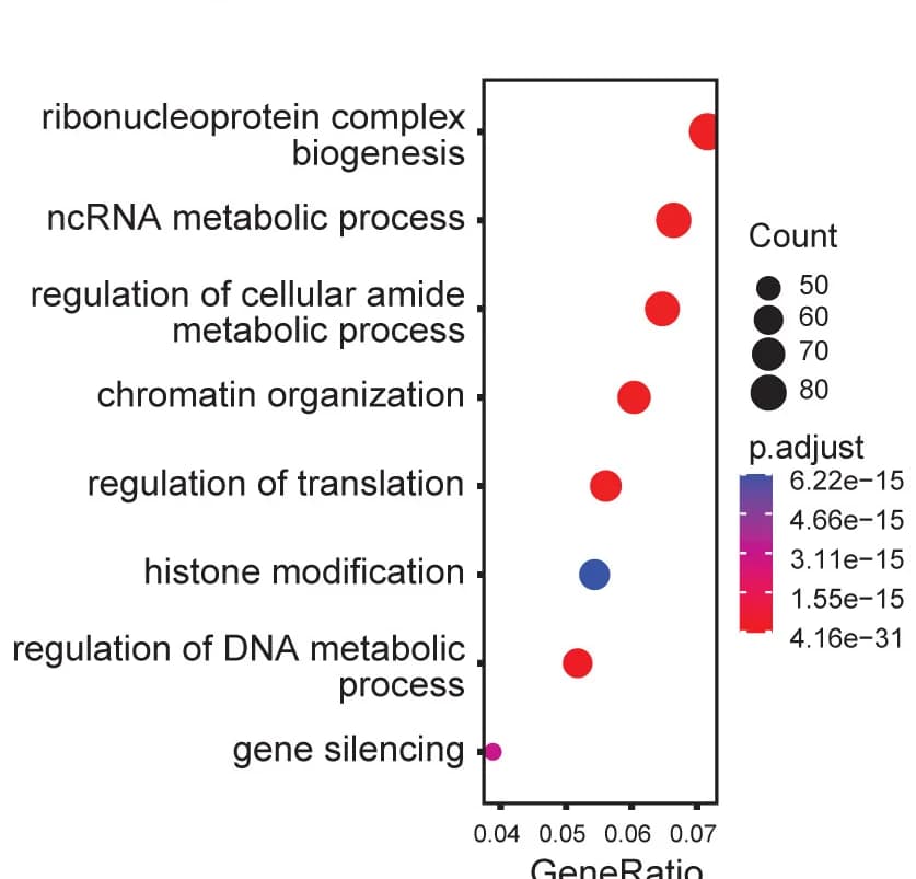 Open access visualization of Bubble Plot, GO Terms, Transcripts, Proteins, mRNA-Protein Correlation