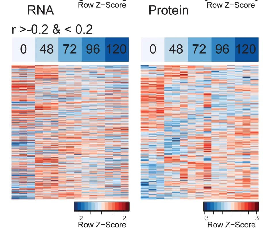 Open access visualization of Heatmap, Heatmaps, mRNA, Protein Expression, Proteins