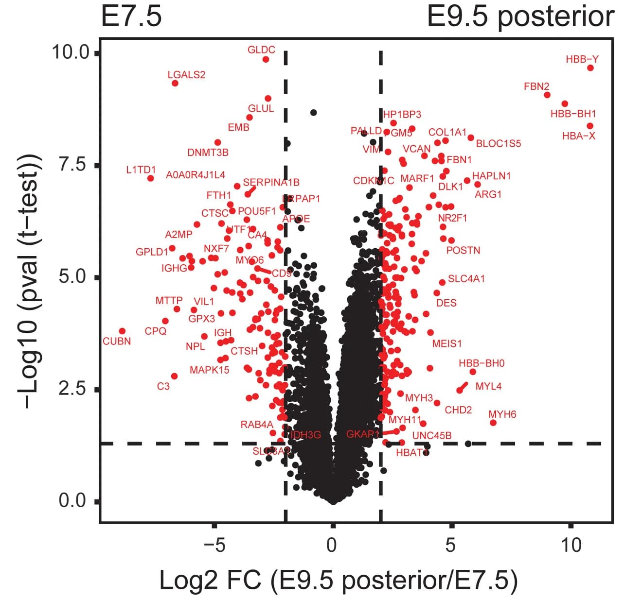 Open access visualization of Volcano Plot, Protein Expression, Mouse Embryos, LFQ Intensities