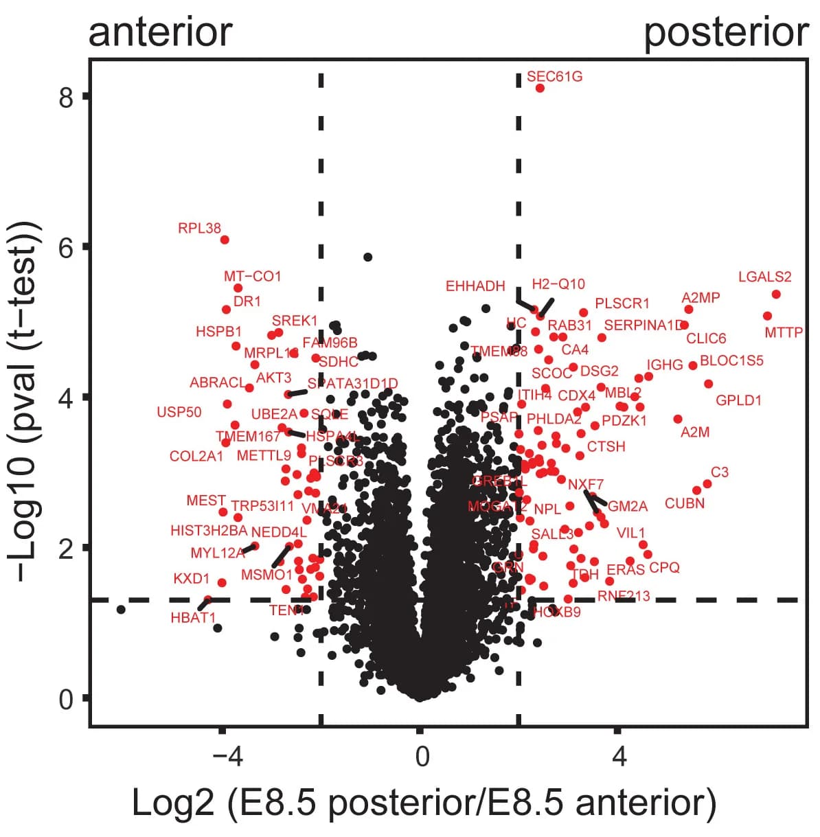 Open access visualization of Volcano Plot, Scatter Plot, Protein Expression, Mouse Embryos, Anterior