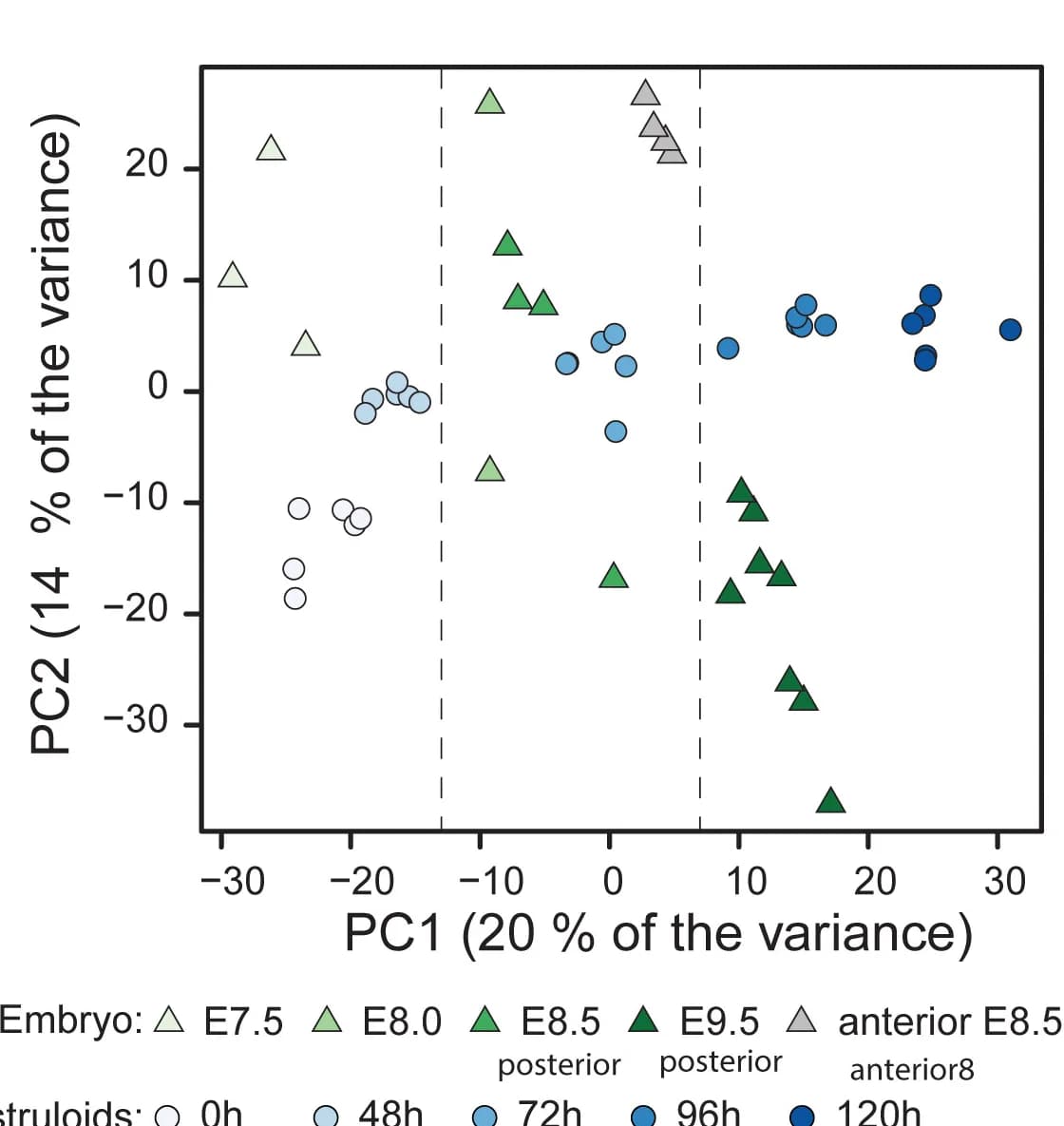 Open access visualization of Scatter Plot, PCA, LFQ Intensities, Overlapping Proteins, Gastruloids