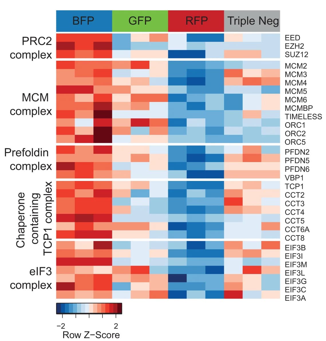 Open access visualization of Heatmap, Significantly Expressed Subunits, Protein Complex, MT1-TagBFP+ Cells