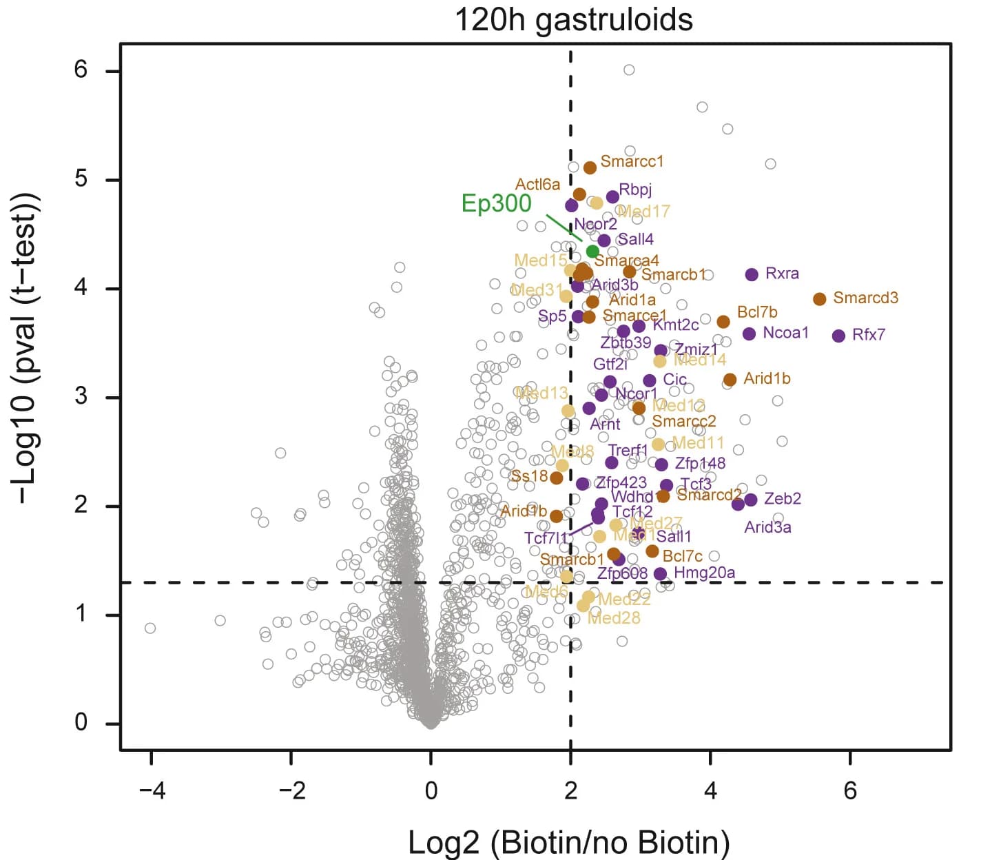 Open access visualization of Volcano Plot, Scatter Plot, P300 Proximity Labeling, Gastruloids, Proteins