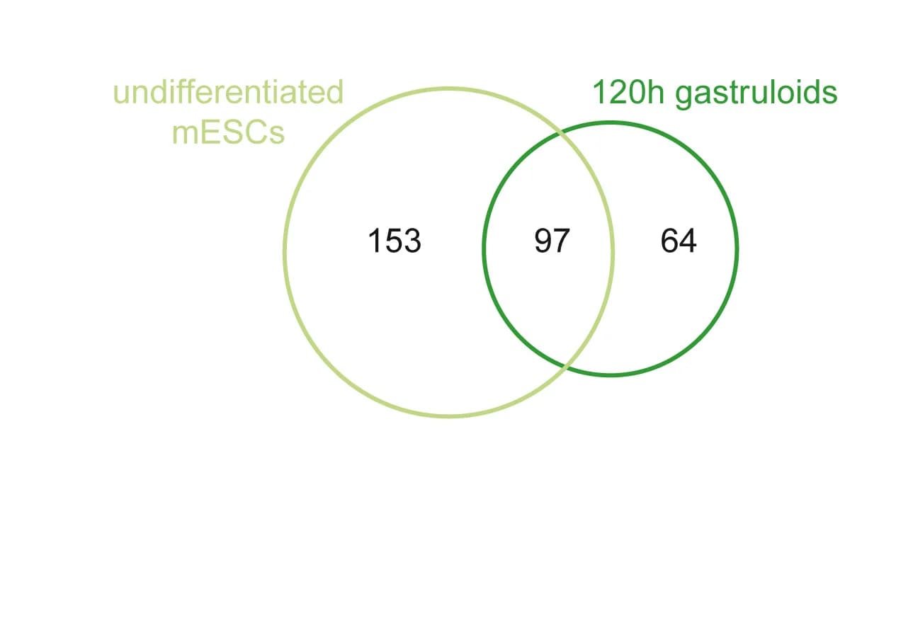 Open access visualization of Venn Diagram, P300 Proximal Proteins, mESCs, Gastruloids, log2FC