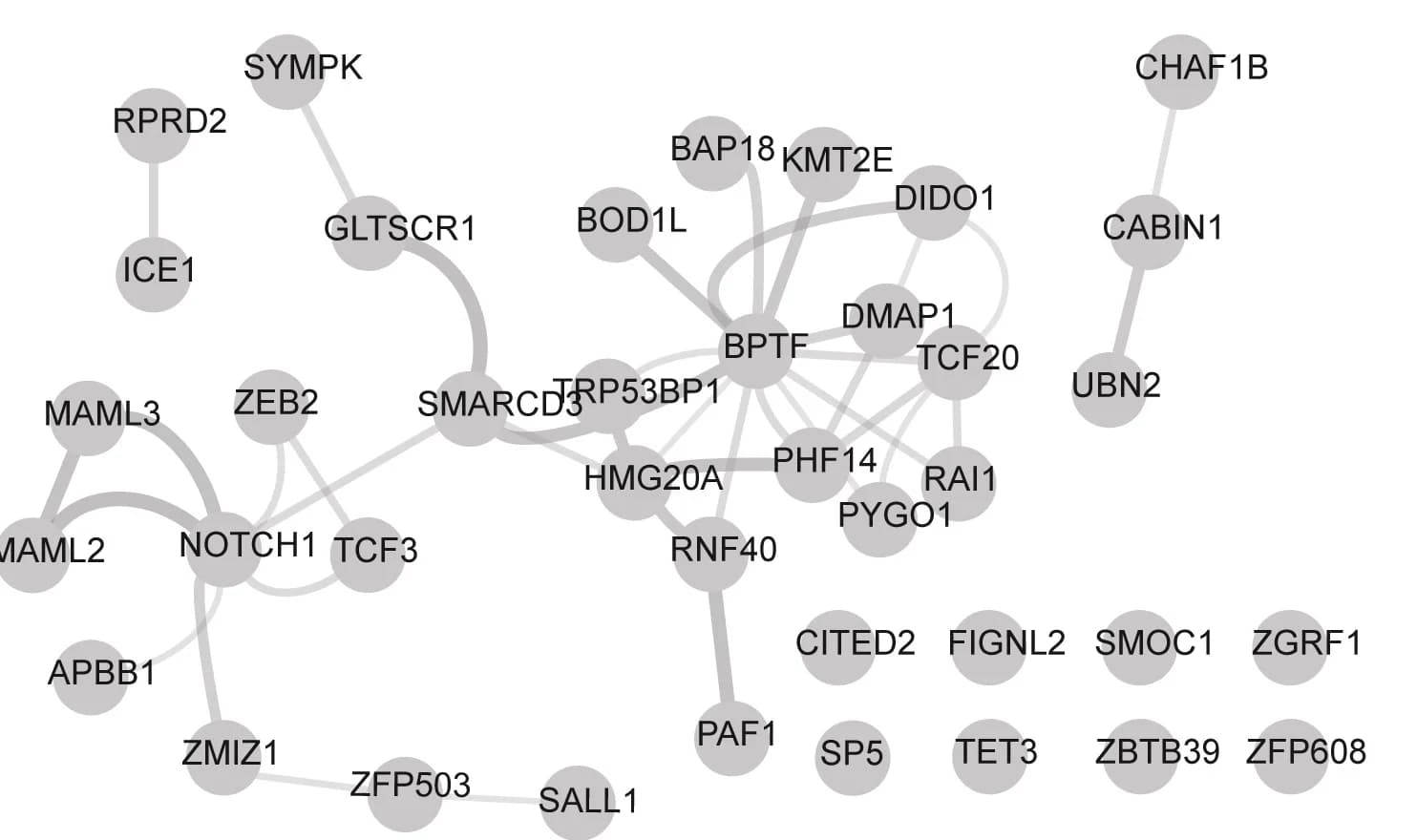 Open access visualization of Network, Pathway, STRING, Protein-Protein Interaction Network, P300