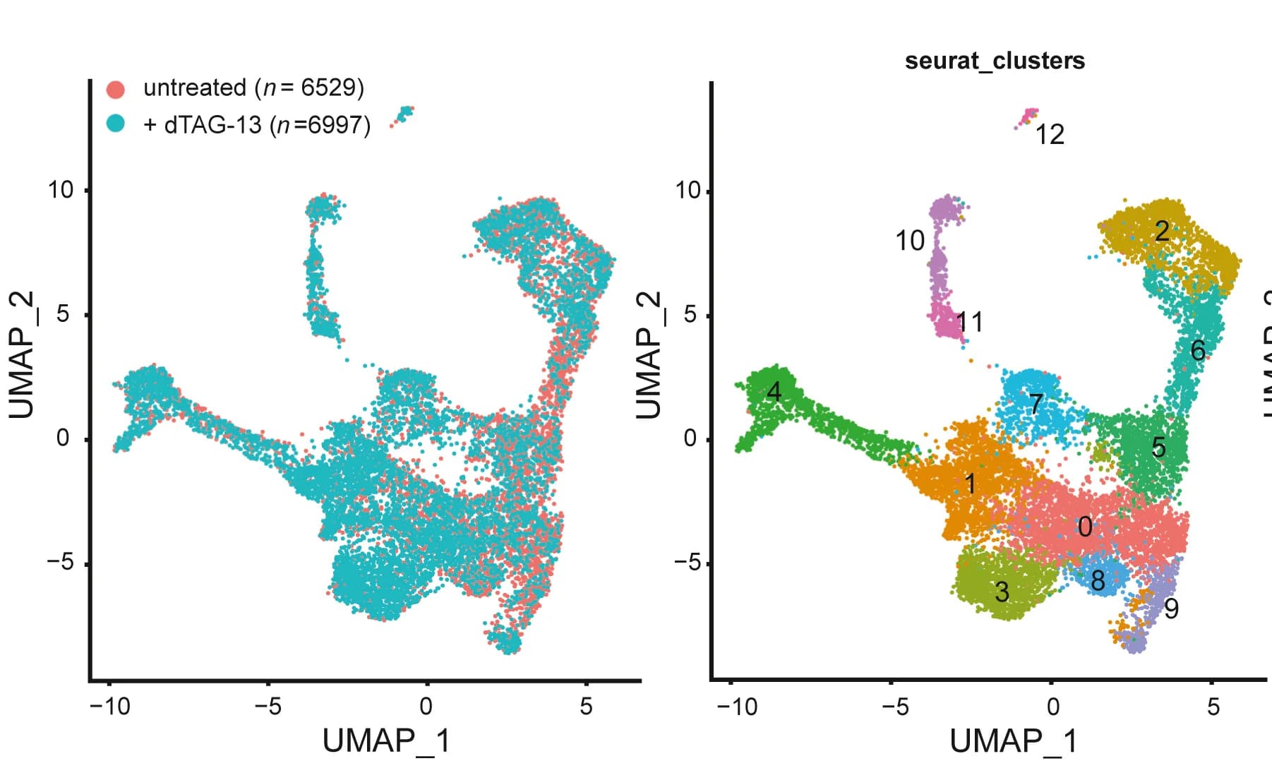 Open access visualization of UMAP, Scatter Plot, Cells, Somitic Gastruloids, dTAG-13