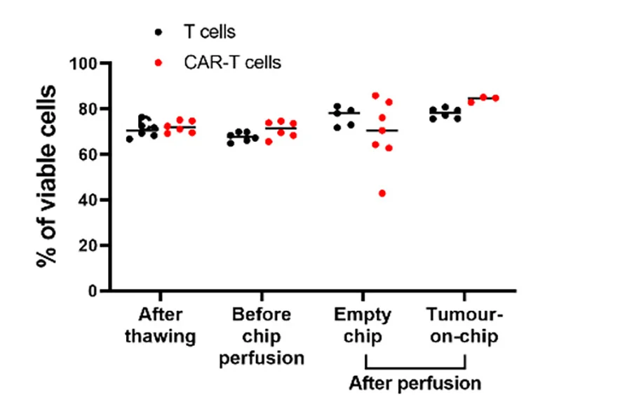 Open access visualization of Scatter Plot, Viability Evaluation, Flow Cytometry, Control T Cells, CAR-T Cells