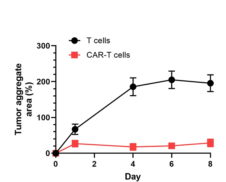 Open access visualization of Line Plot, Error Bars, MDA-MB-231, Tumor Aggregates, CAR-T Cells