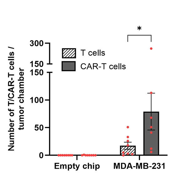 Open access visualization of Bar Plot, Error Bars, Control T Cells, CAR-T Cells, Tumor Chamber