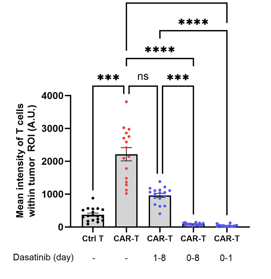 Open access visualization of Bar Plot, Error Bars, Scatter Plot, Control T Cells, CAR-T Cells