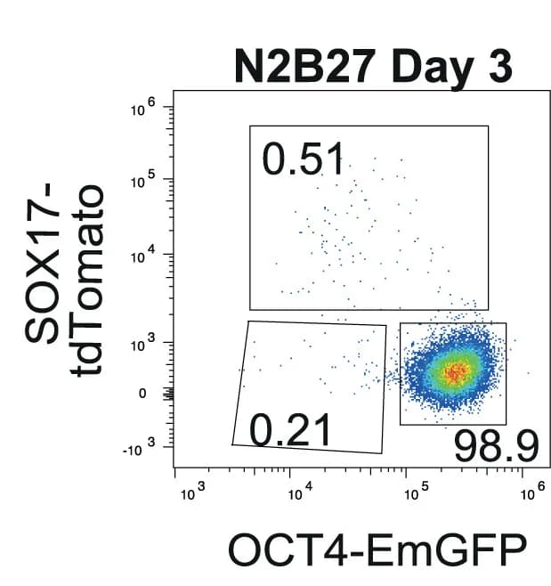 Open access visualization of Scatter Plot, Flow Cytometry, OCT4-EmGFP, SOX17-tdTomato, N2B27