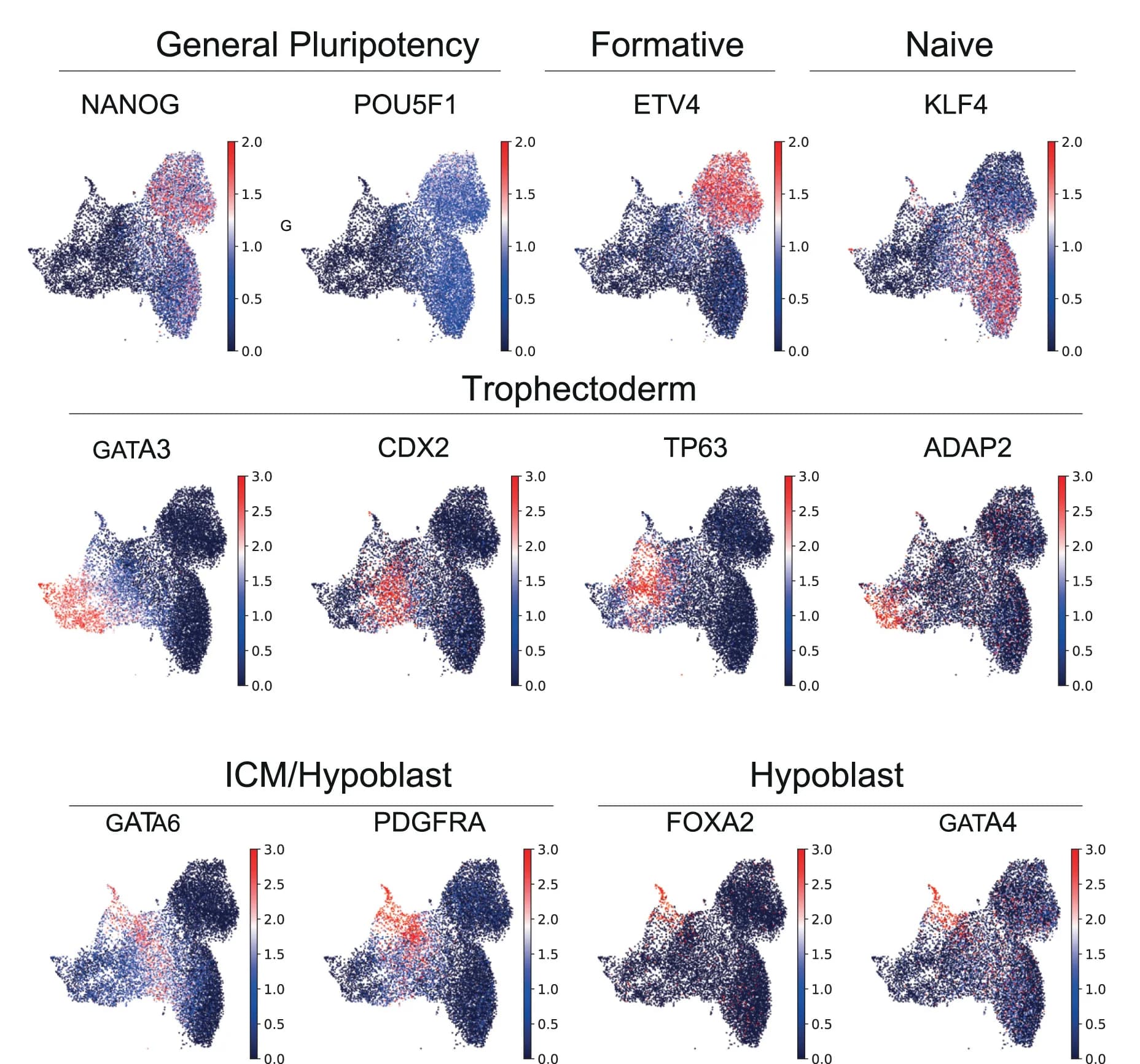 Open access visualization of Scatter Plot, UMAP, PCA, Log2 Expression, Marker Genes