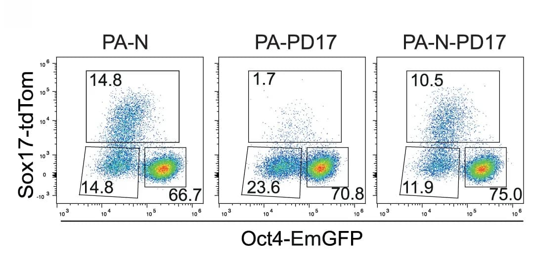 Open access visualization of Scatter Plot, Flow Cytometry, OCT4-EmGFP, SOX17-tdTomato, PA-N Treatment