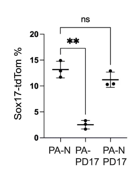 Open access visualization of Bar Plot, Error Bars, SOX17-tdTomato, Flow Cytometry, Quantification