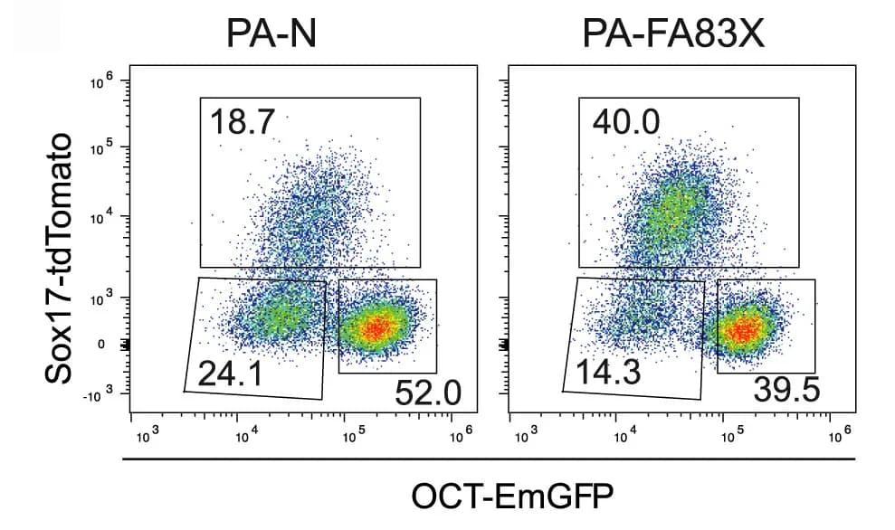Open access visualization of Scatter Plot, Flow Cytometry Analysis, OCT4-EmGFP-positive Cells, SOX17-tdTomato-positive Cells, Double-negative Populations