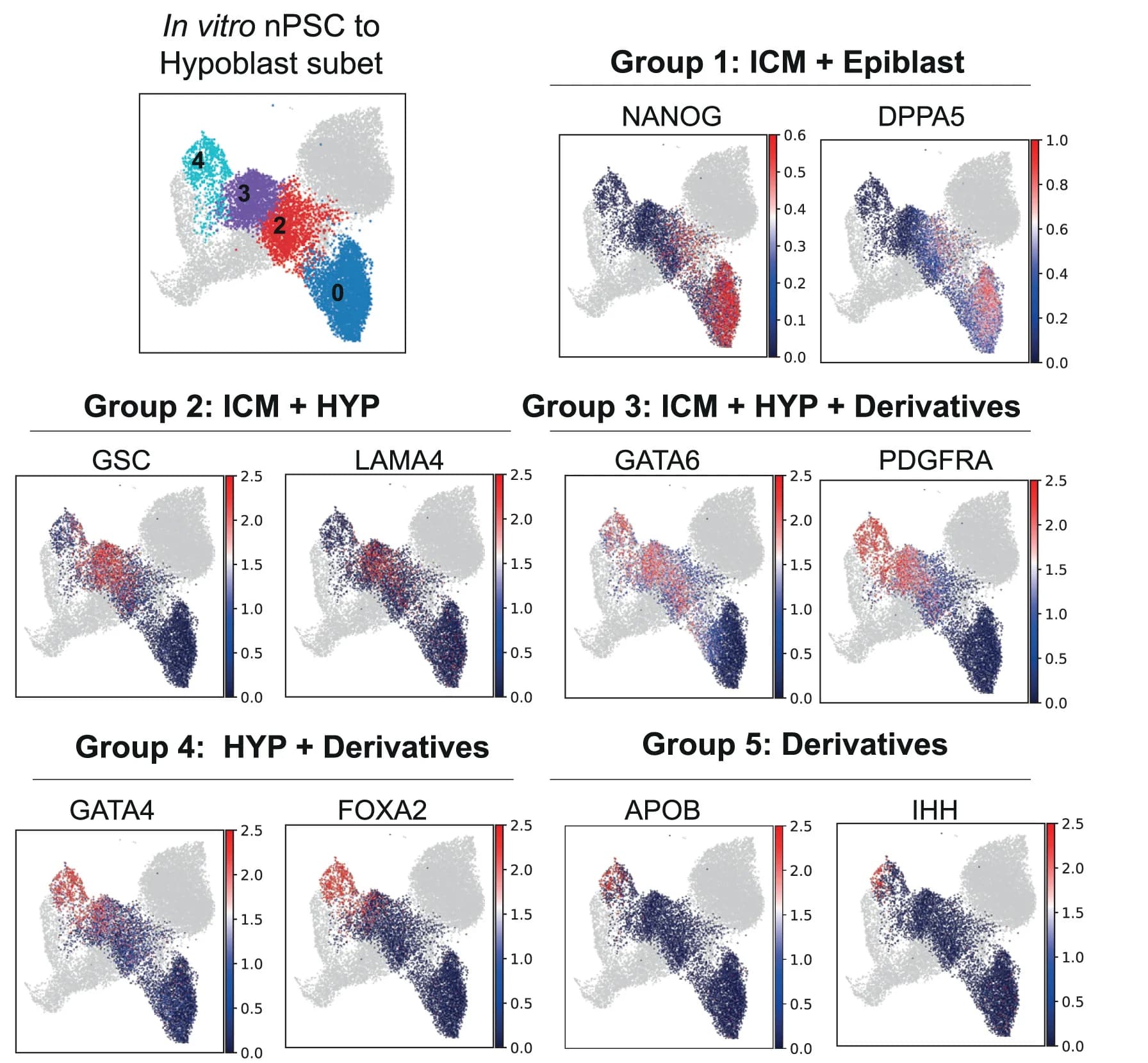 Open access visualization of Scatter Plot, UMAP, Gene Expression, PA-N, PA-FA83X