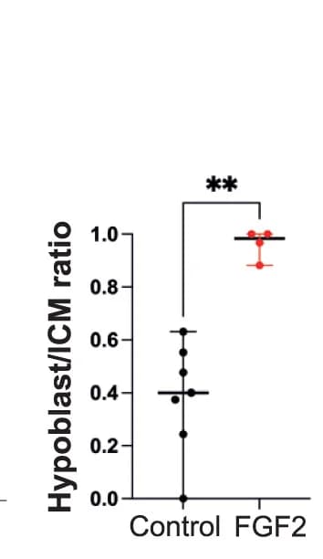 Open access visualization of Scatter Plot, Error Bars, Hypoblast, ICM, Epiblast