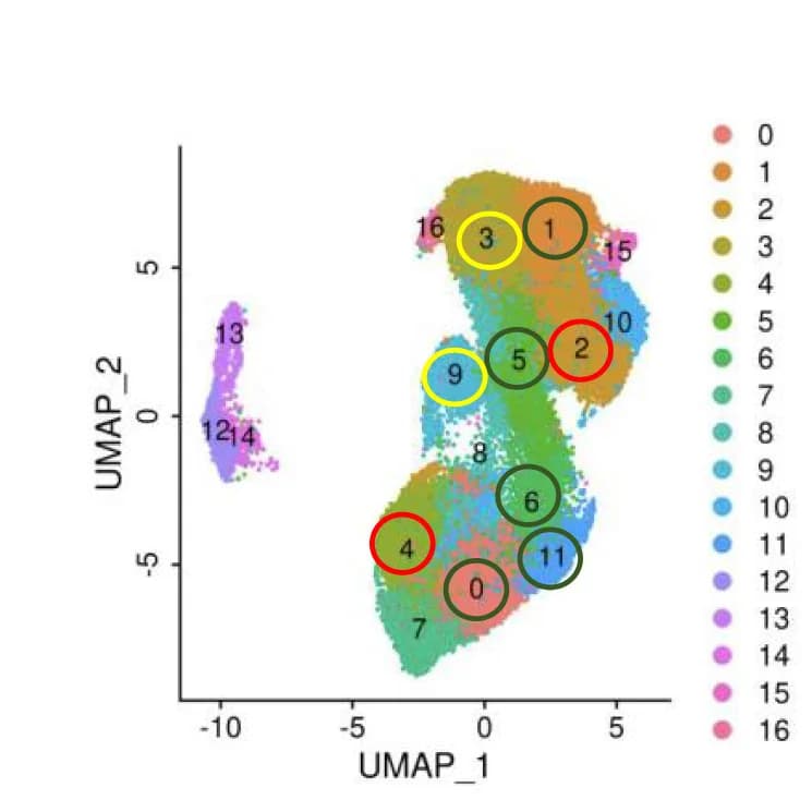 Open access visualization of UMAP, UMAP Plot, Cumulative Data, Samples
