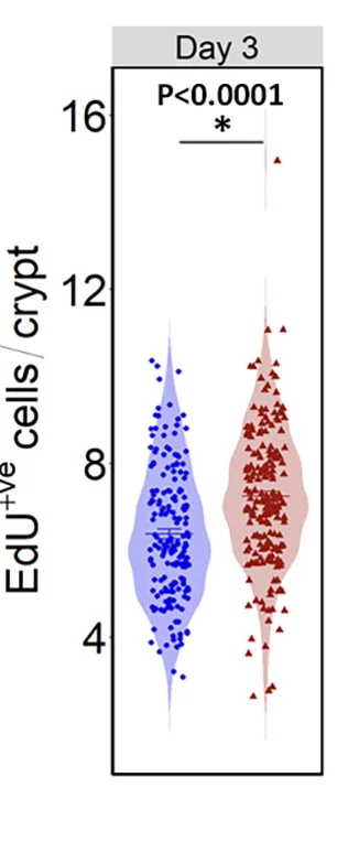 Open access visualization of Violin Plot, Scatter Plot, Intestinal Proliferation, Offspring, Postnatal Day 3