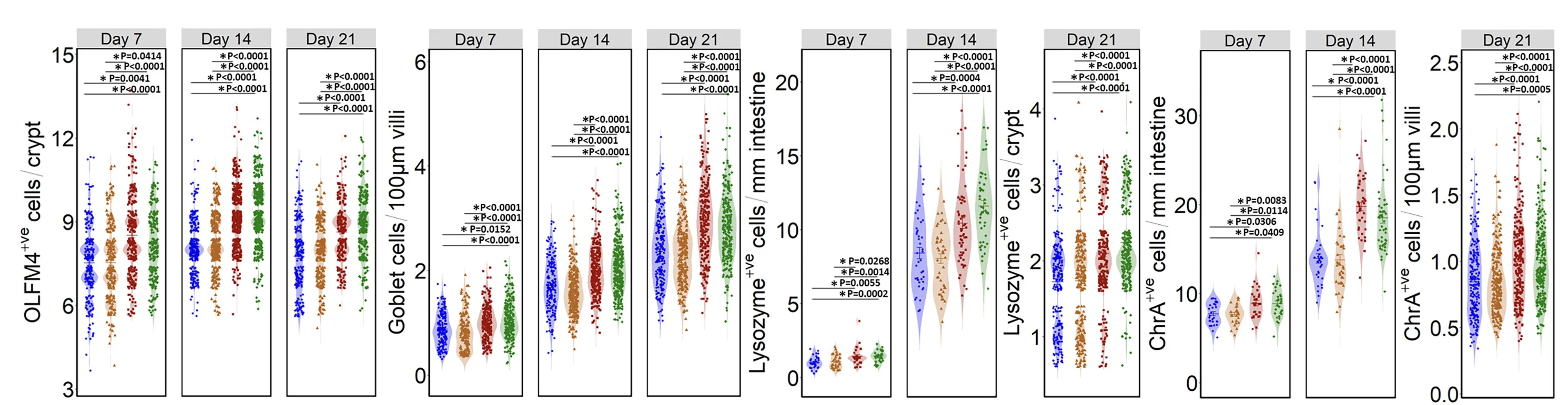 Open access visualization of Violin Plot, Scatter Plot, OLFM4+ve Stem Cells, Goblet Cells, Paneth Cells