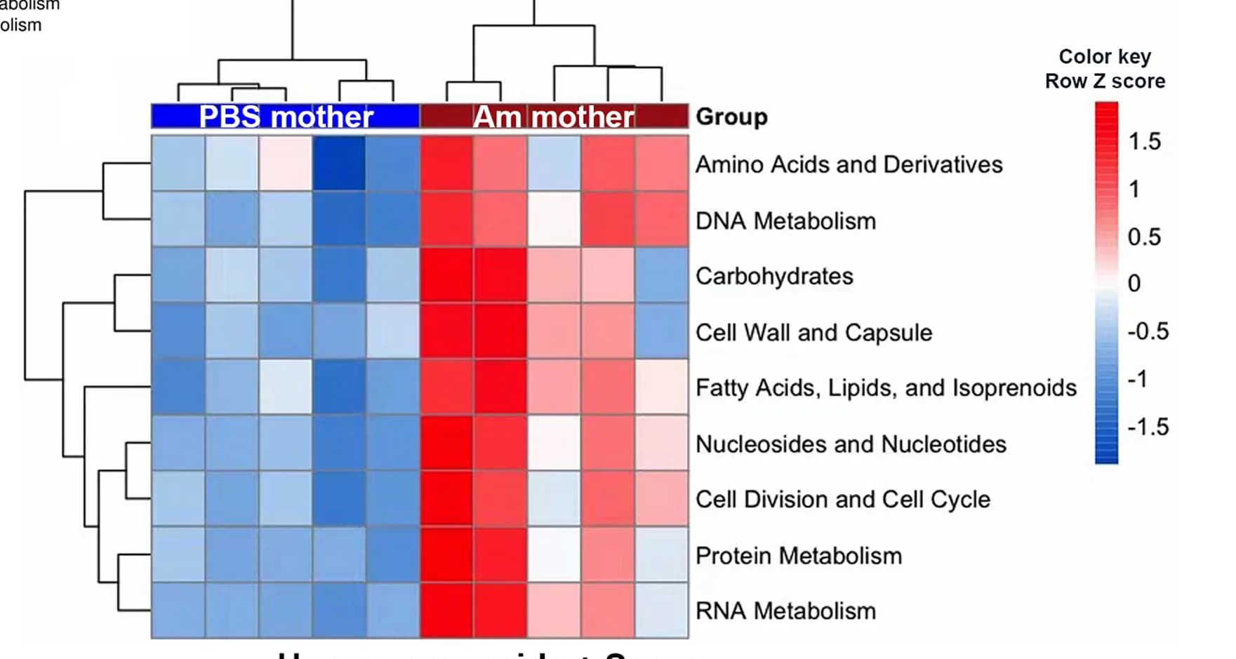 Open access visualization of Heatmap, Clustered, Cluster Analysis, Sequence Reads, SEED