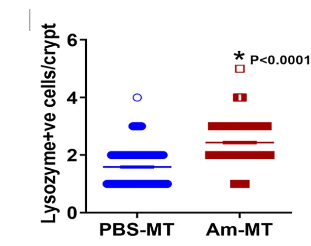 Open access visualization of Box Plot, Paneth Cells, Small Intestine, Quantification