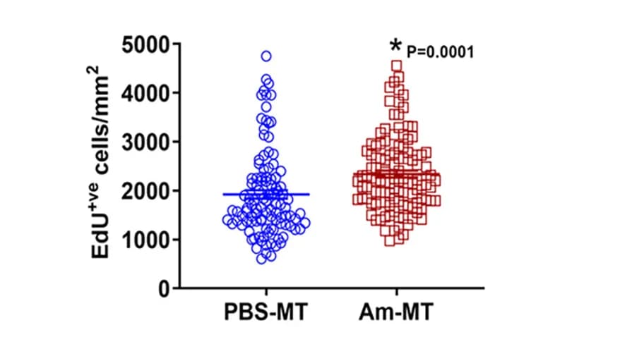 Open access visualization of Scatter Plot, EdU-Incorporating Cells, Organoids, Quantification, Statistical Analysis