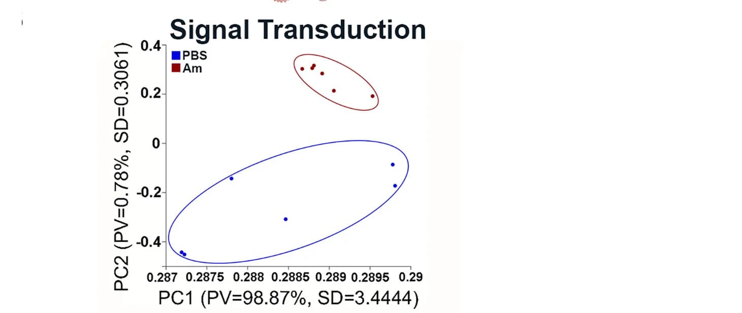 Open access visualization of Scatter Plot, PCA, Signal Transduction Genes, Mice, Clustering