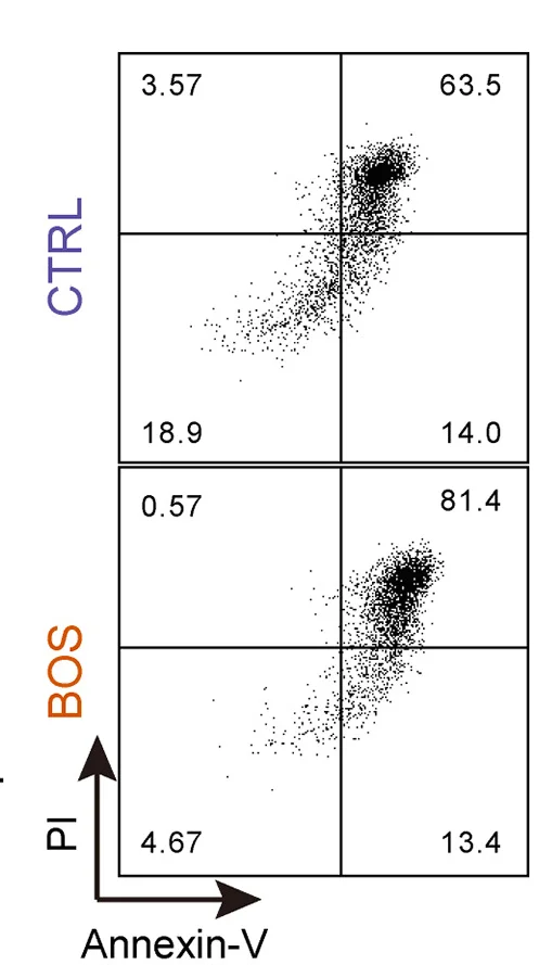 Open access visualization of Scatter Plot, Flow Cytometry Analysis, Control Vehicle, Bosutinib, iVECs